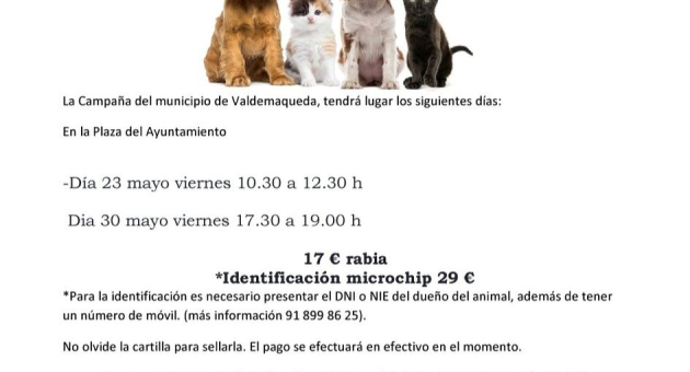 Campaña de identificación y vacunación canina y felina 2025